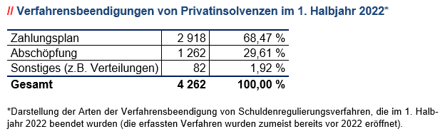 Verfahrensbeendigungen bei Privatinsolvenzen